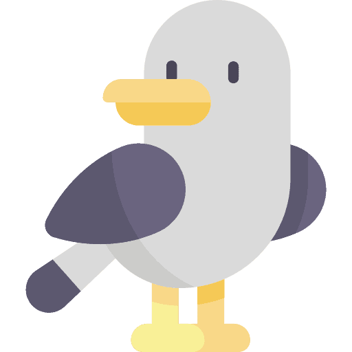 Playful Seagull